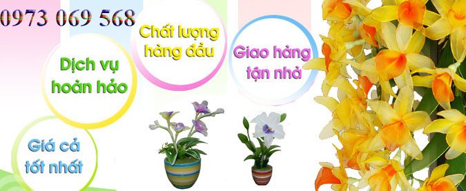 Điện Hoa Trung Nhứt Cần Thơ Điện Hoa Trung Nhứt Cần Thơ