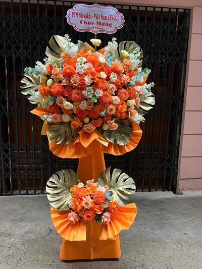 Điện Hoa Xã Đất Đỏ Hồ Chí Minh