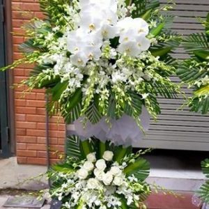 Hoa chia buồn 100