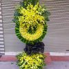Điện hoa Đông Thuận Cần Thơ