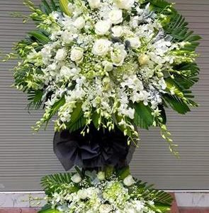 Hoa chia buồn 65