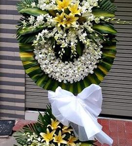 Hoa chia buồn 81